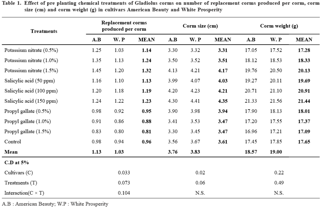 Cormel Example Effect Of Chemicals On Corm And Cormel Production In Gladiolus ...