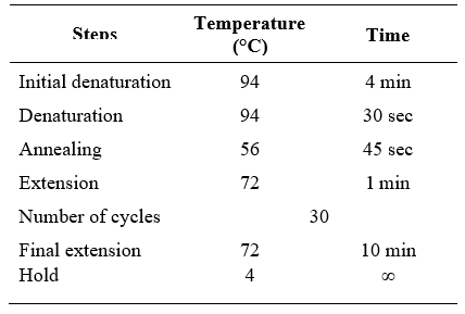 PCR programme for amplification of 16S rDNA